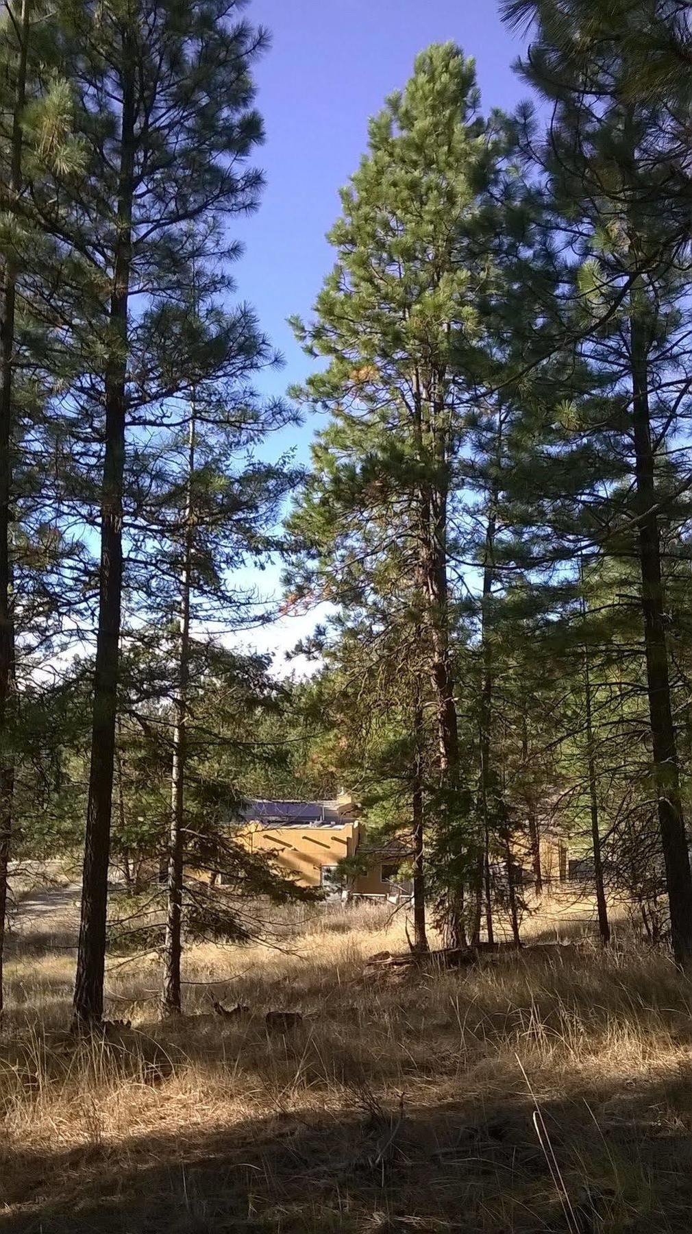 Baergnaescht B&B Osoyoos Buitenkant foto